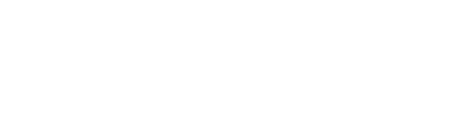 Logo V2 Moto